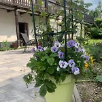 Sarnia Polana Basen, Jacuzzi, Natura