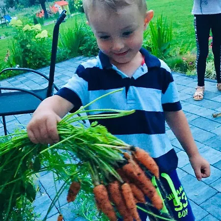 Sarnia Polana Kostrzyca