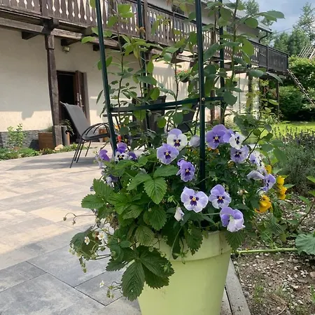 Sarnia Polana Basen, Jacuzzi, Natura