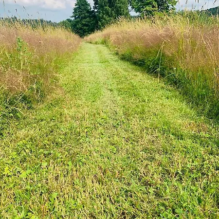 팜스테이 Sarnia Polana