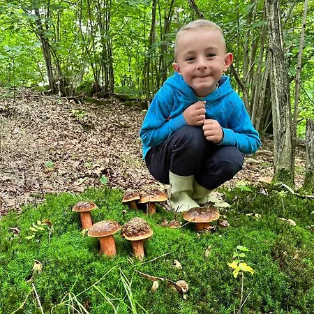 팜스테이 Sarnia Polana Kostrzyca