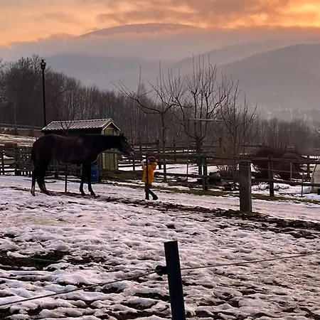 Sarnia Polana * Kostrzyca