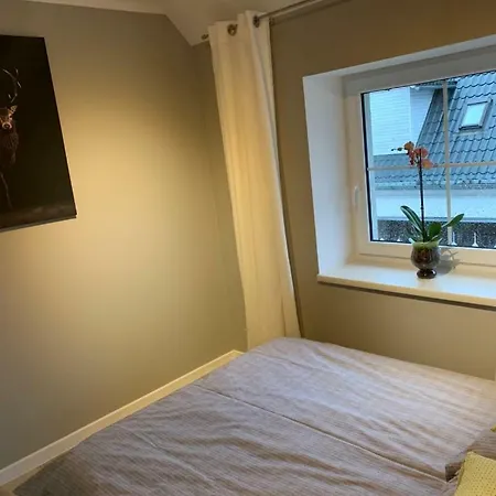 팜스테이 Sarnia Polana Kostrzyca