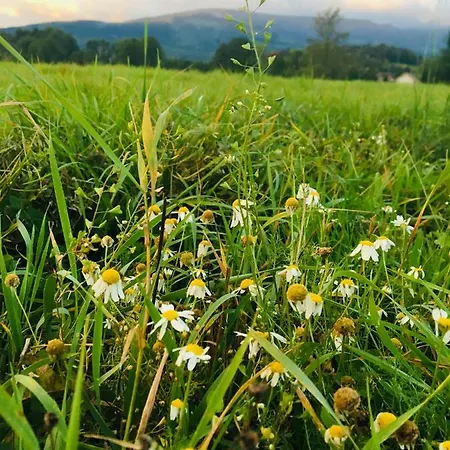 Sarnia Polana Фермерский дом *