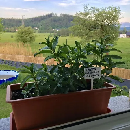 Фермерский дом Sarnia Polana