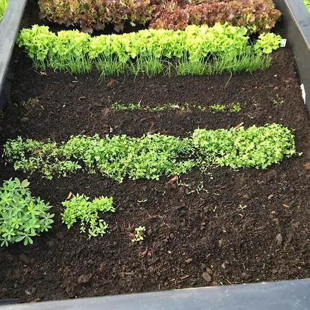 팜스테이 Sarnia Polana Kostrzyca