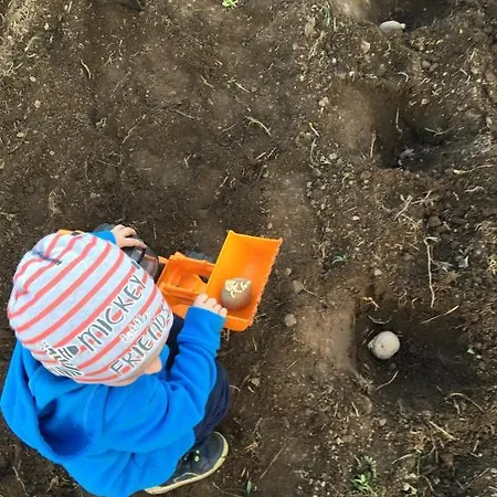 Sarnia Polana Фермерский дом *