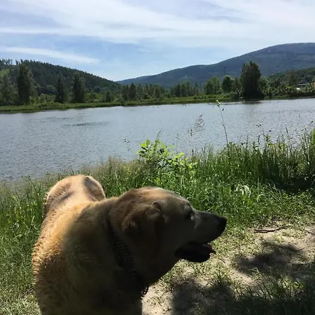 Sarnia Polana 팜스테이 *