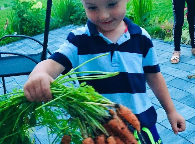 Sarnia Polana Kostrzyca