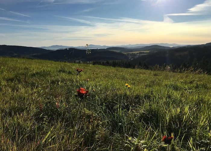 Sarnia Polana * Kostrzyca