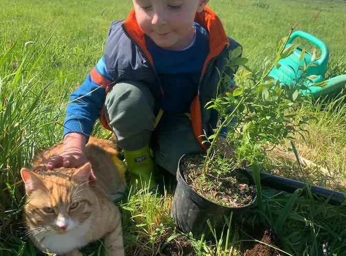 Sarnia Polana * Kostrzyca