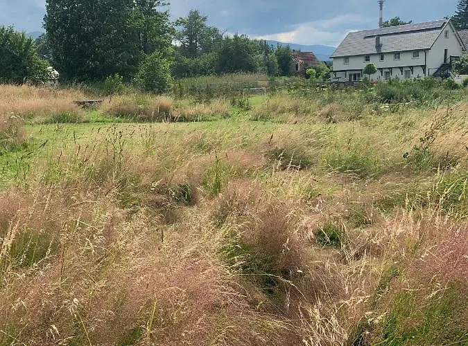 Alojamento de Turismo Rural Sarnia Polana