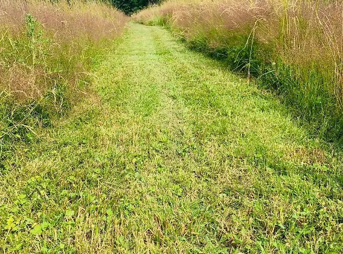 Alojamento de Turismo Rural Sarnia Polana