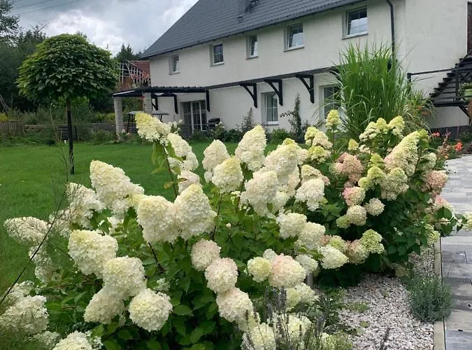 Farm stay Sarnia Polana Kostrzyca