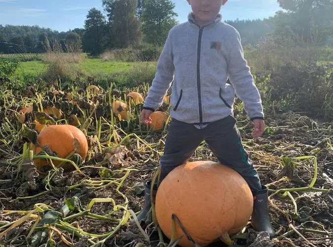 Farm stay Sarnia Polana