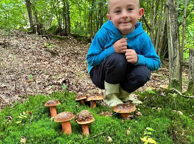 Alojamento de Turismo Rural Sarnia Polana Kostrzyca