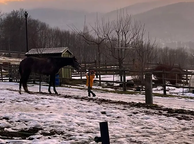 Sarnia Polana * Kostrzyca