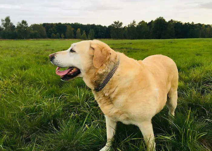 Farm stay Sarnia Polana Kostrzyca