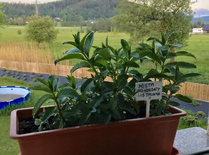 Farm stay Sarnia Polana