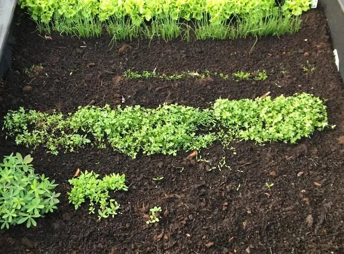 Alojamento de Turismo Rural Sarnia Polana Kostrzyca