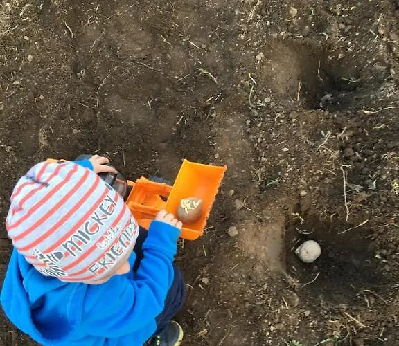 Sarnia Polana Alojamento de Turismo Rural *