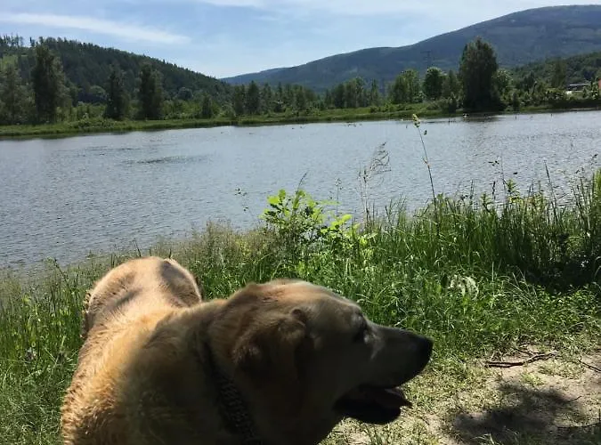 Sarnia Polana Alojamento de Turismo Rural *